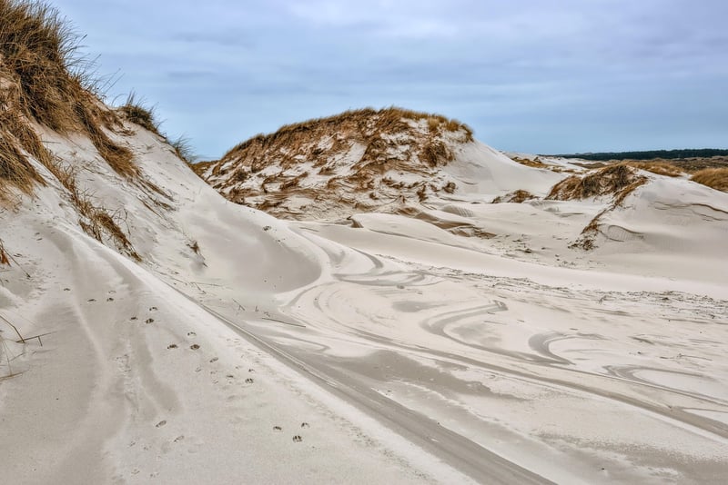 Nature-inspired sand art